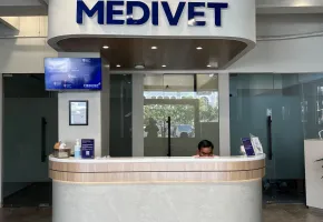 Gallery Medivet Kelapa Gading 1 ~blog/2025/10/16/gambar_whatsapp_2025_10_16_pukul_08_26_47_cabc257a