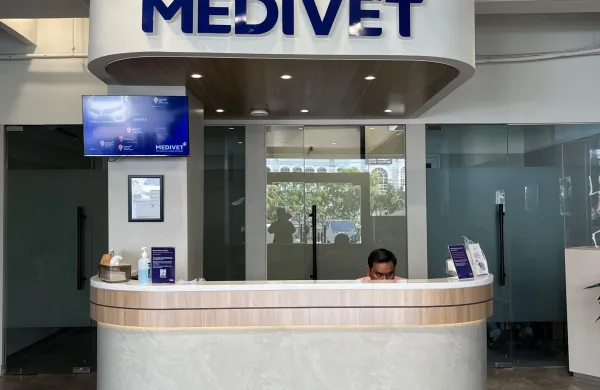 Medivet Kelapa Gading
